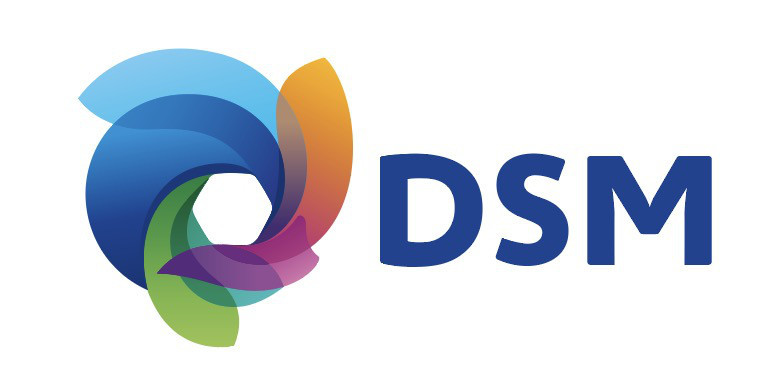 DSM Resins